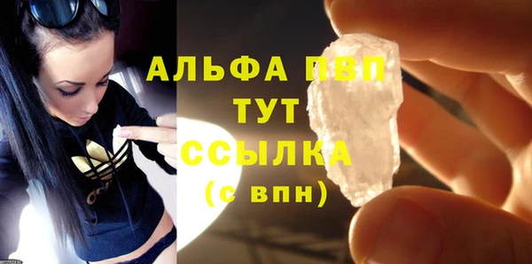 СК Зеленокумск