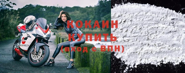 СК Зеленокумск