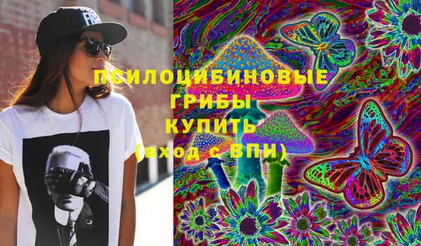 СК Зеленокумск