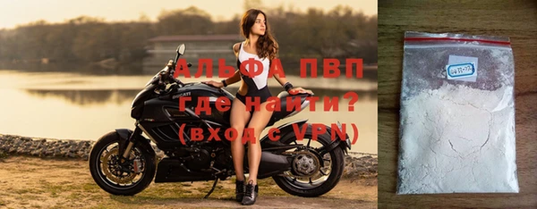 СК Зеленокумск