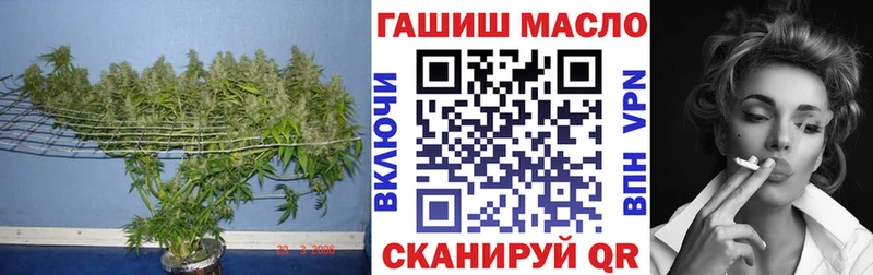 Купить Задонск ТГК концентрат