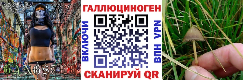 Галлюциногенные грибы прущие грибы  Купить закладки  Задонск 